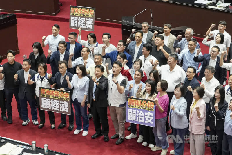 國民黨提出鞭刑公投,正是以羞辱的方式對「憲政」的揭露。來源 : 中央社